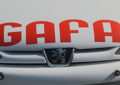 Gafa Repuestos - Repuestos Peugeot y Citroen Viña del Mar.